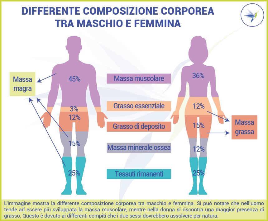 Composizione-corpore-maschio-vs-femmine