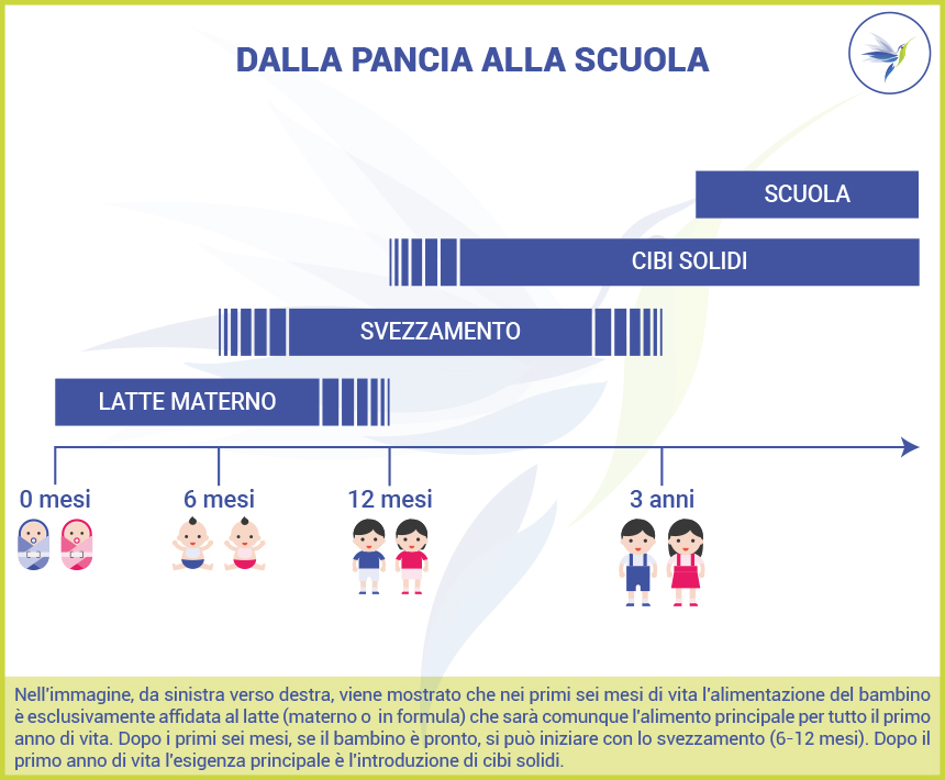 Dalla-pancia-alla-scuola