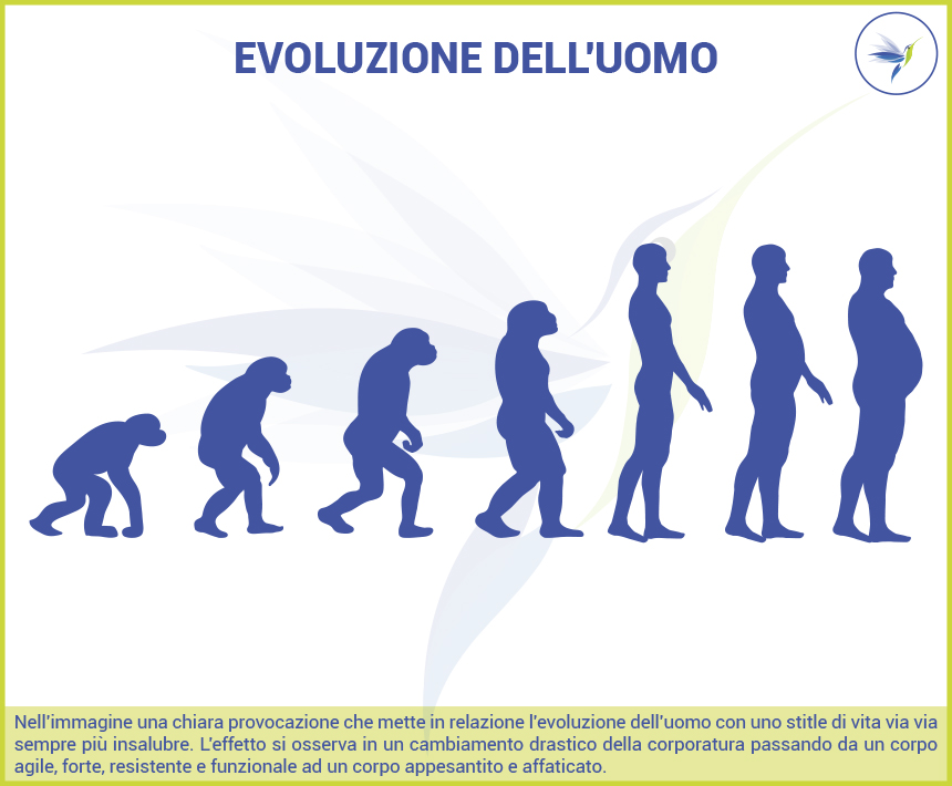 Evoluzione-dell'uomo-dalla-scimmia-all'uomo-obeso-gobbo-al-pc_Bl