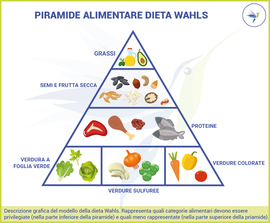 Piramide-dieta-wahls_Blog_Nutrizionista.Bio