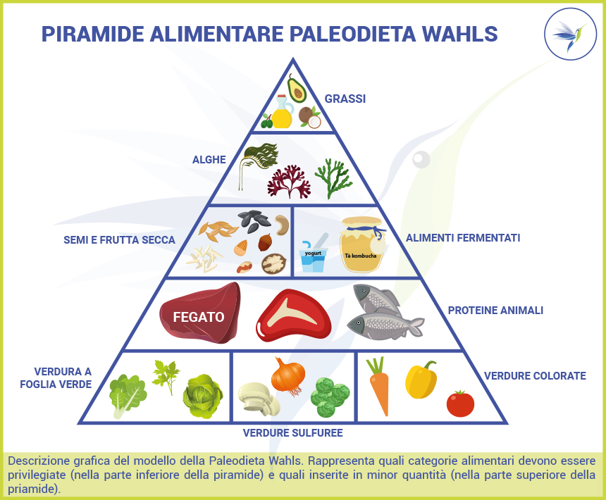 Piramide-paleodieta-Wahls_Blog_Nutrizionista.Bio