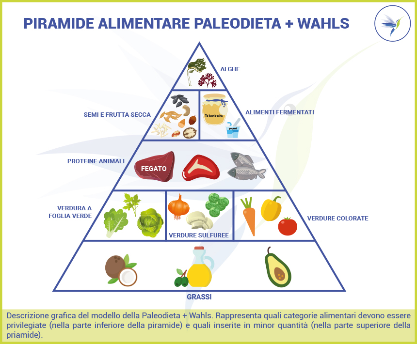 Piramide-paleodieta+-Wahls_Blog_Nutrizionista.Bio