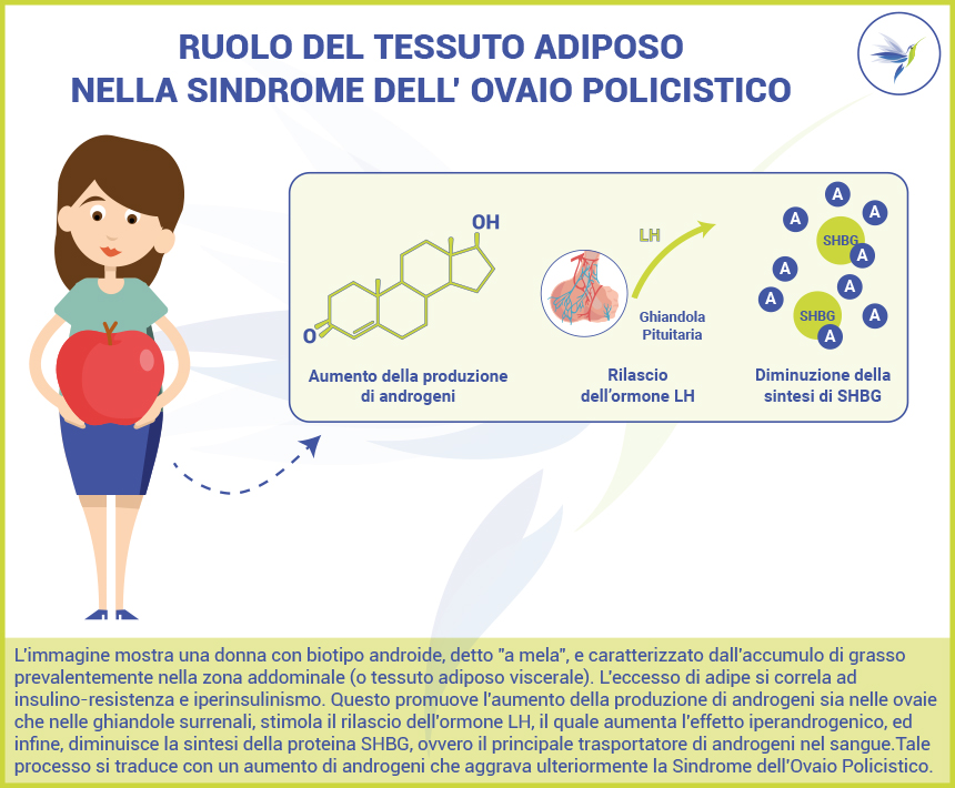 Ruolo-tessuto-adiposo-PCOS