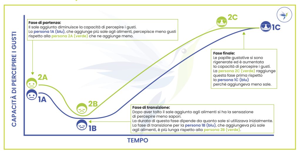 grafico gusto ok 2