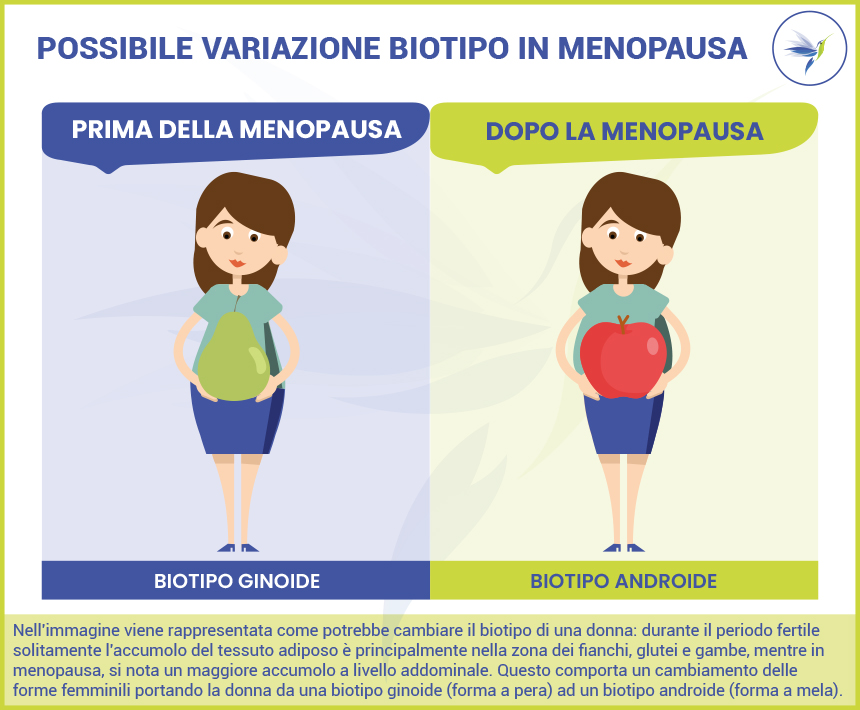 menoapausa-ginoide-androide_Blog_Nutrizionista.Bio