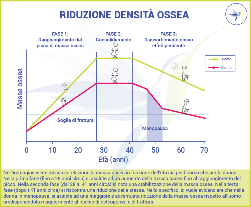 riduzione_densita_ossea_Blog_Nutrizionista.Bio