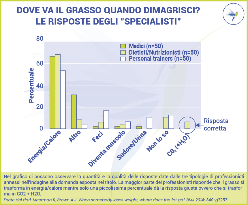 Grafico Indagine British Medical Journal