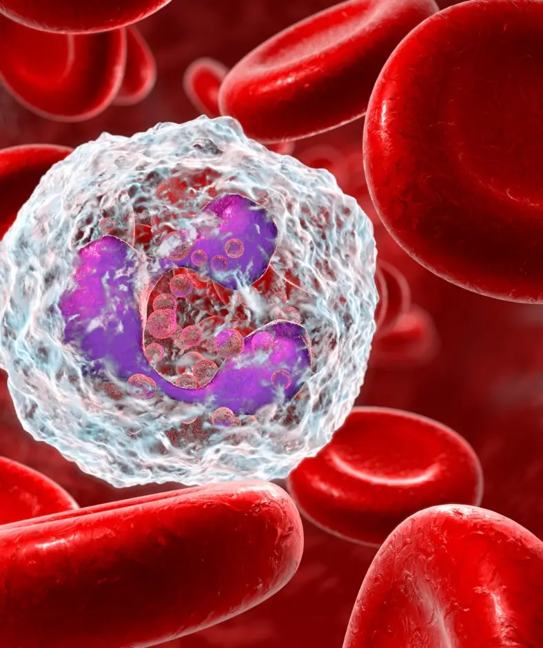 Cosa sono le patologie autoimmuni