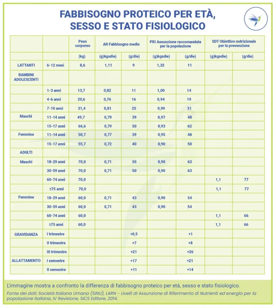 Proteine: cosa sono, quante assumerne e perché sono fondamentali per il nostro organismo
