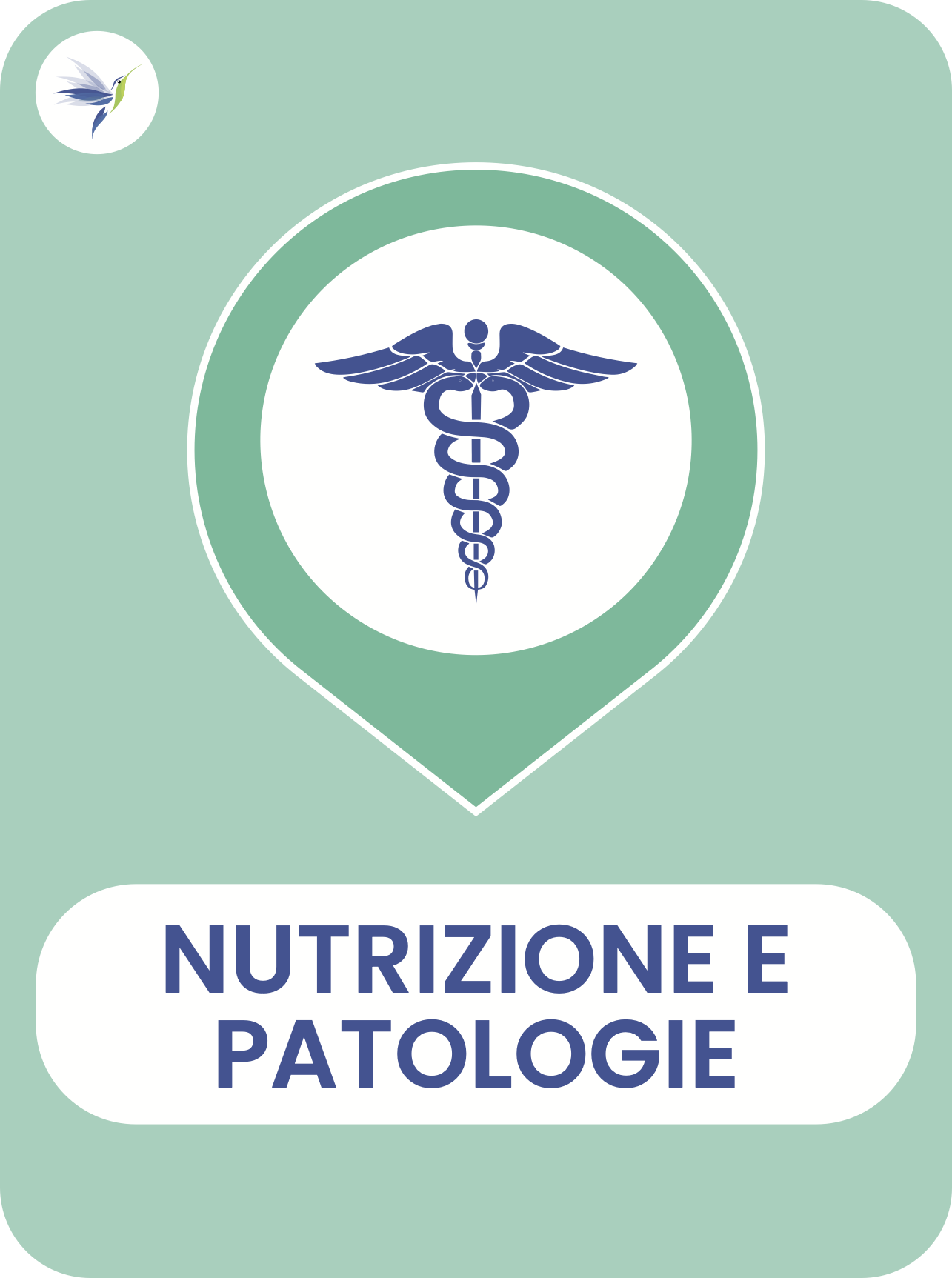 cornice nutrizione e patologie box sito nutrizionista.bio